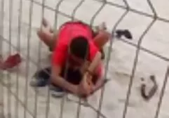 Marrón videos pornos clásicos lamiendo divertido